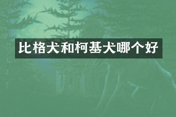 比格犬和柯基犬哪个好