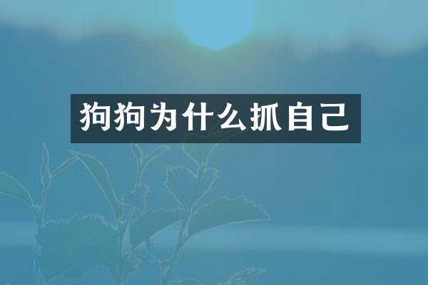 狗狗为什么抓自己