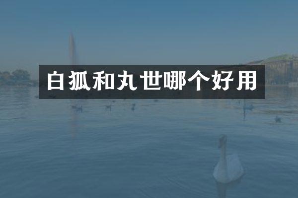 白狐和丸世哪个好用