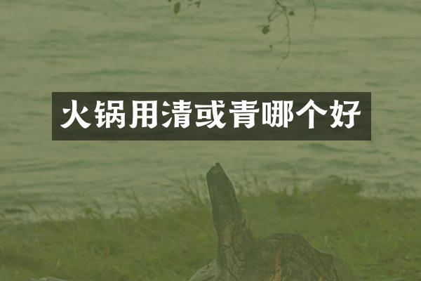 火锅用清或青哪个好