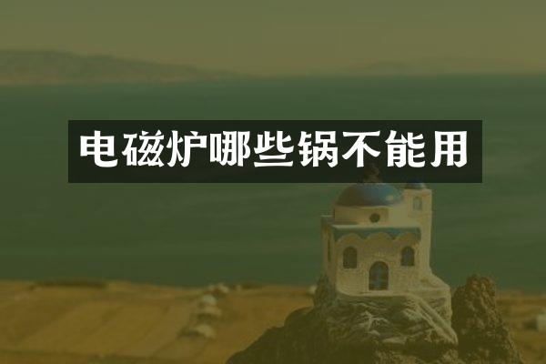 电磁炉哪些锅不能用