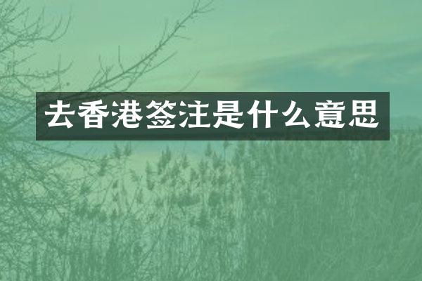 去香港签注是什么意思