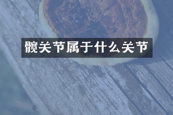 髋关节属于什么关节