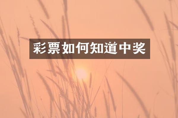 彩票如何知道中奖
