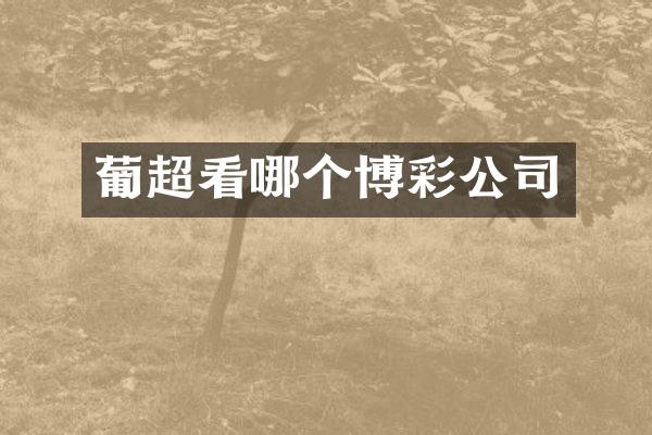 葡超看哪个博彩公司