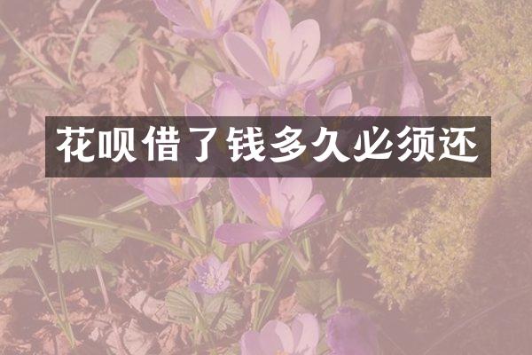 花呗借了钱多久必须还
