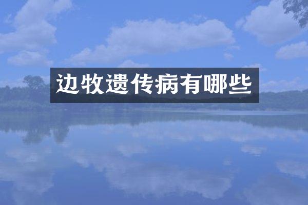 边牧遗传病有哪些