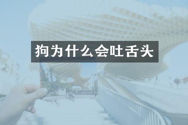 狗为什么会吐舌头