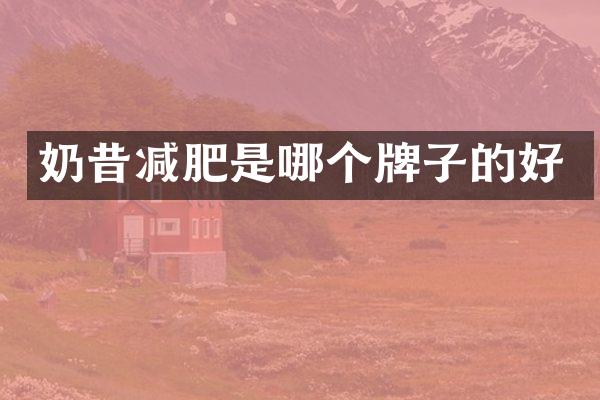 奶昔减肥是哪个牌子的好