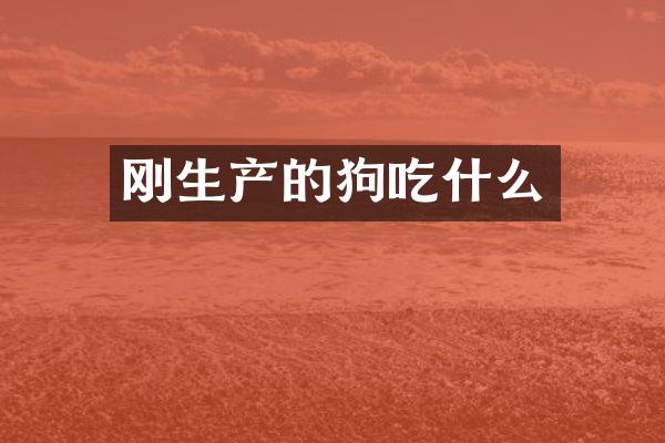 刚生产的狗吃什么