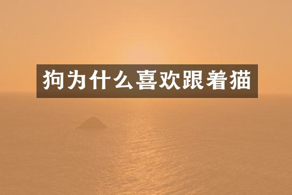 狗为什么喜欢跟着猫