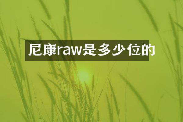 尼康raw是多少位的