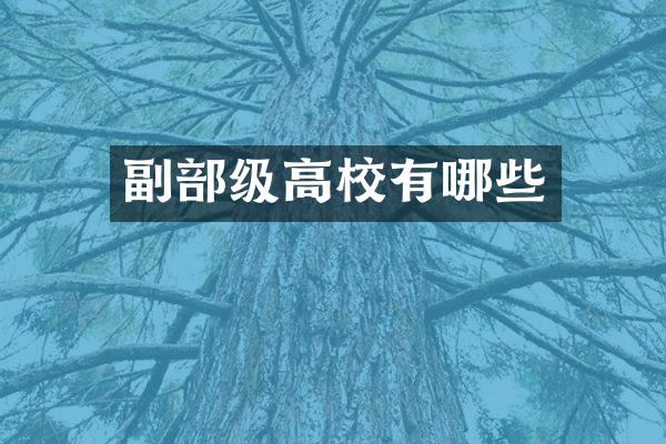 副部级高校有哪些