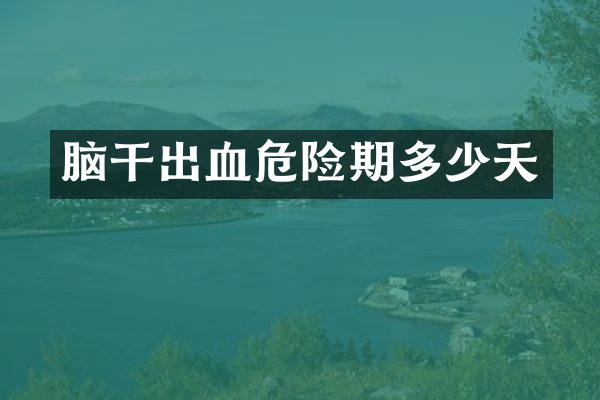 脑干出血危险期多少天