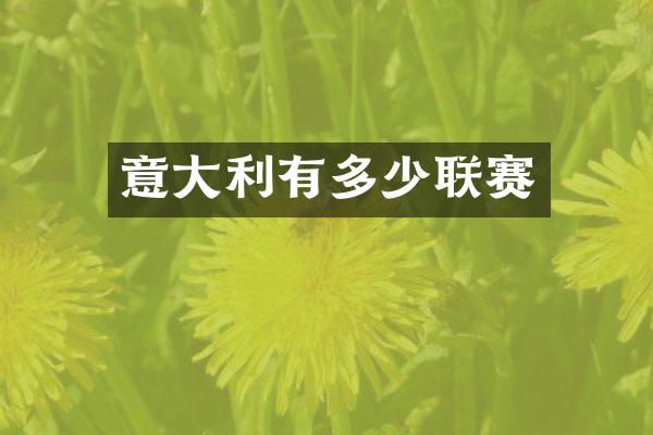 意大利有多少联赛