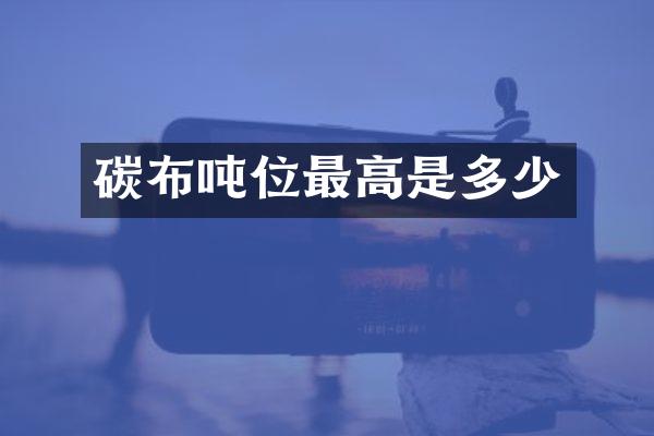 碳布吨位最高是多少