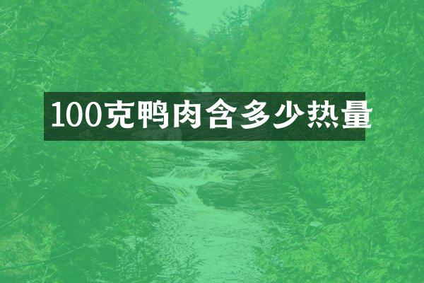 100克鸭肉含多少热量