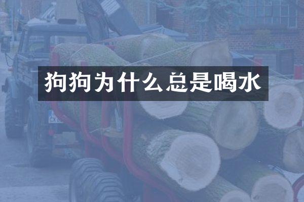 狗狗为什么总是喝水