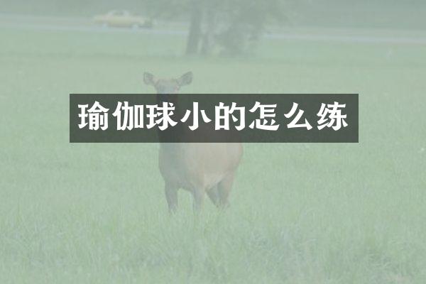 瑜伽球小的怎么练