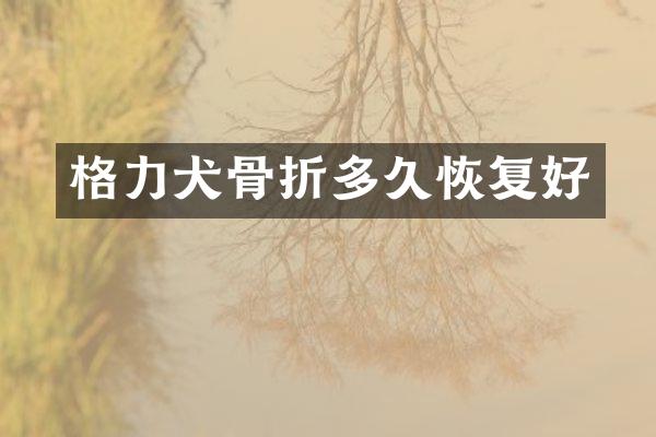 格力犬骨折多久恢复好