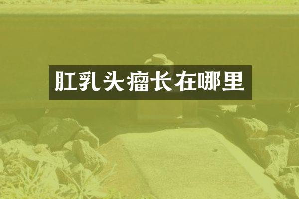 肛乳头瘤长在哪里