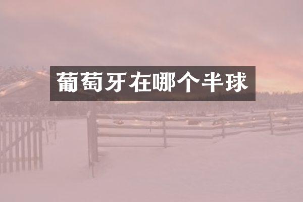 葡萄牙在哪个半球
