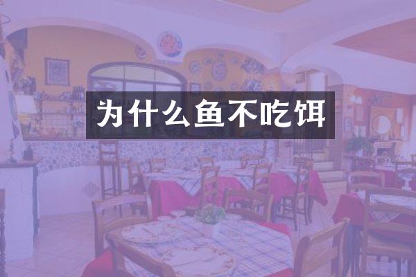 为什么鱼不吃饵