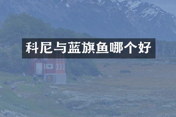 科尼与蓝旗鱼哪个好
