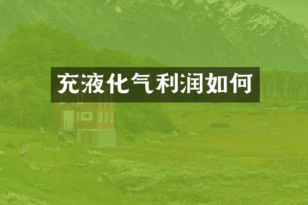 充液化气利润如何