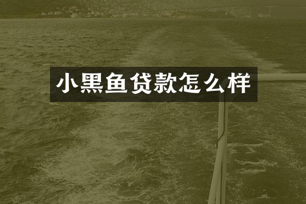 小黑鱼贷款怎么样