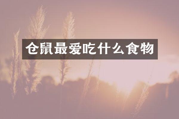 仓鼠最爱吃什么食物