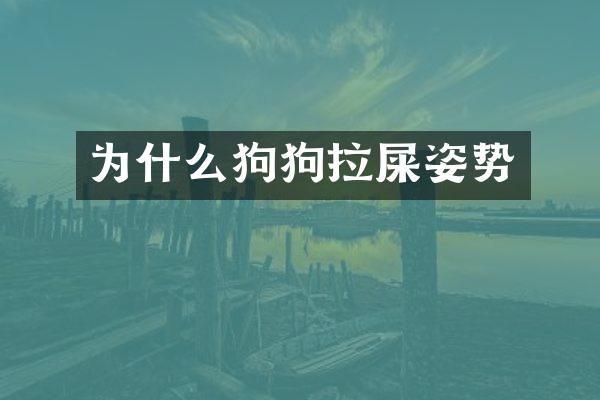 为什么狗狗拉屎姿势