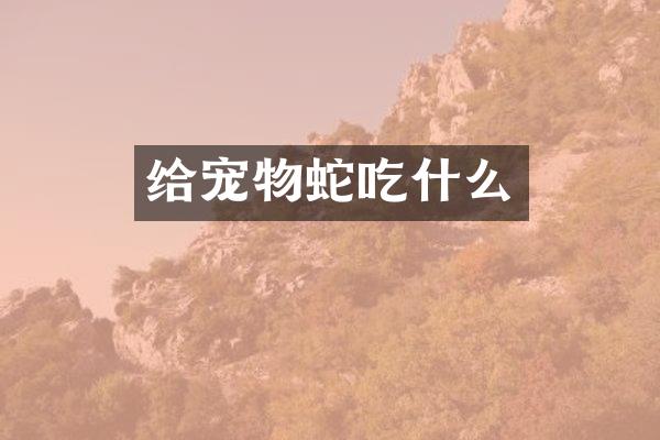 给宠物蛇吃什么