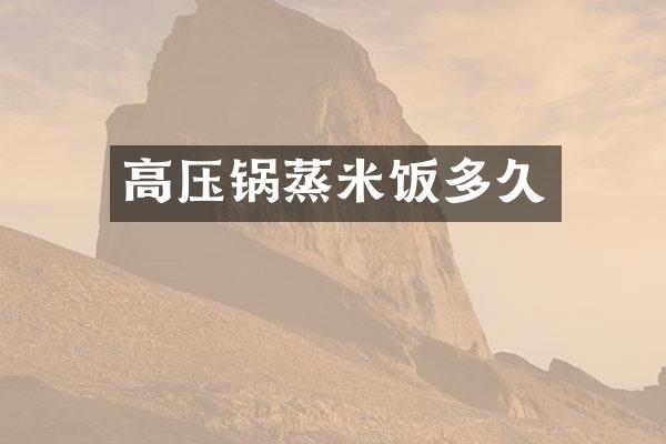 高压锅蒸米饭多久