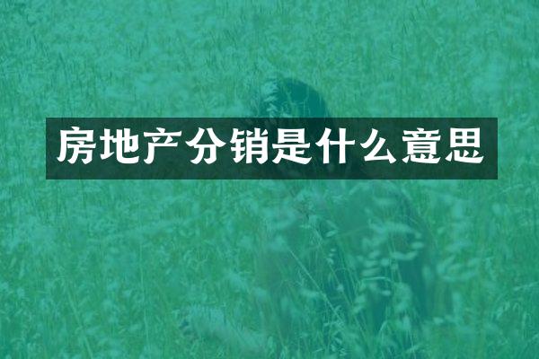 房地产分销是什么意思