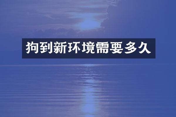 狗到新环境需要多久