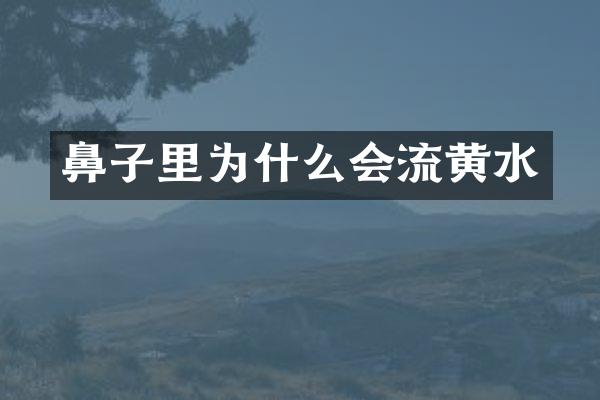 鼻子里为什么会流黄水
