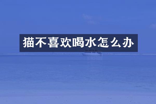猫不喜欢喝水怎么办