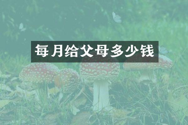 每月给父母多少钱