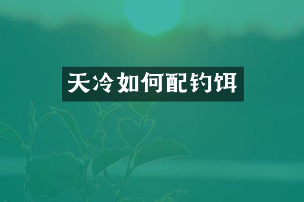 天冷如何配钓饵