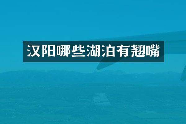 汉阳哪些湖泊有翘嘴