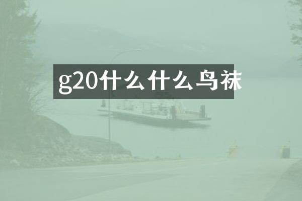 g20什么什么鸟袜