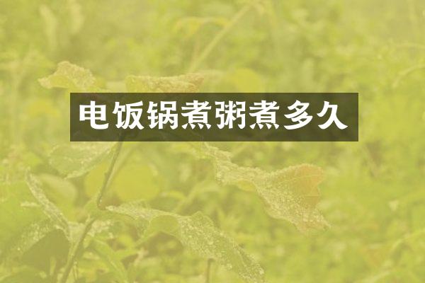 电饭锅煮粥煮多久