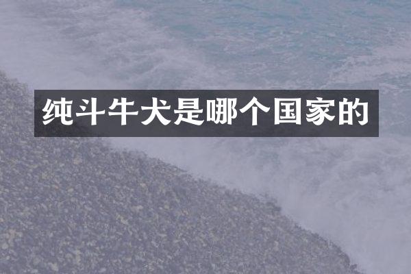 纯斗牛犬是哪个国家的