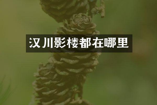 汉川影楼都在哪里