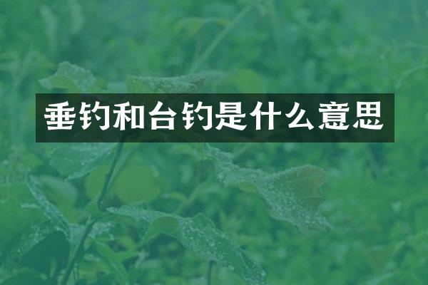 垂钓和台钓是什么意思
