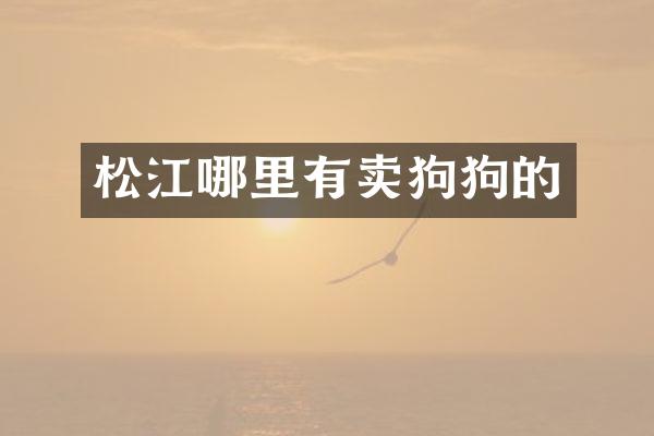 松江哪里有卖狗狗的