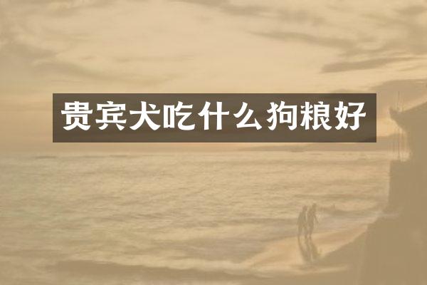 贵宾犬吃什么狗粮好