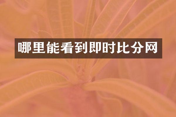 哪里能看到即时比分网