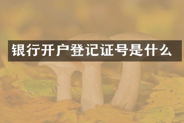 银行开户登记证号是什么